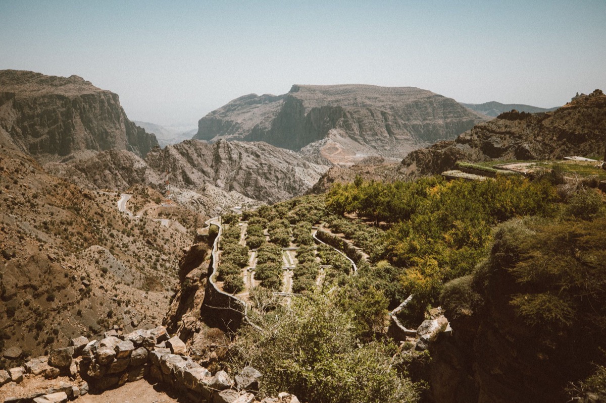 Terraced orchards on Jabal Akhdar with canyon views
