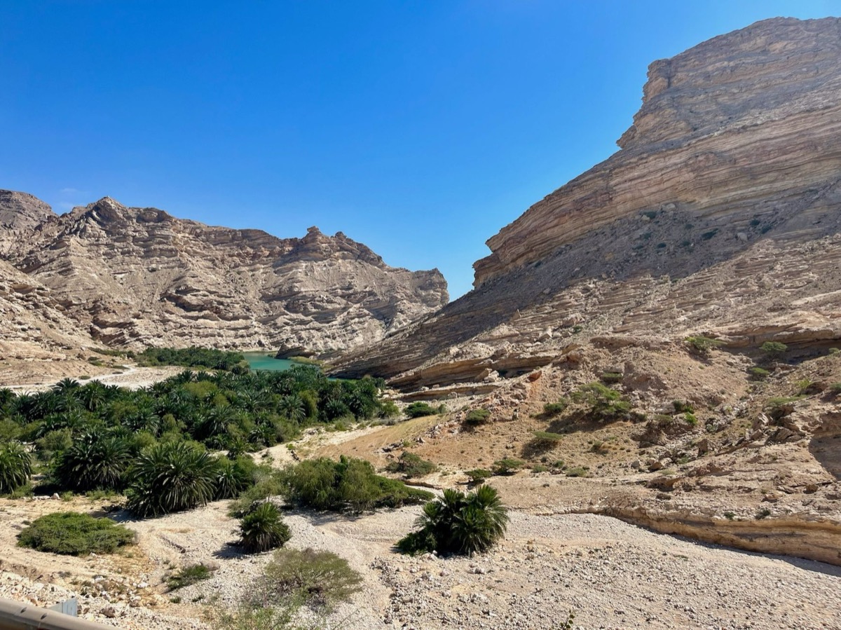 Turquoise wadi pool with a palm oasis, surrounded by canyon rock