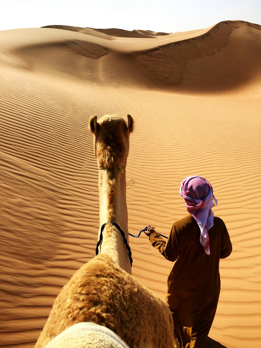 Bedouin guide leading a camel across the dunes of Wahiba Sands