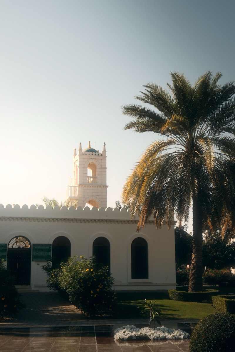Zawawi Mosque minaret framed by a palm tree in Muscat